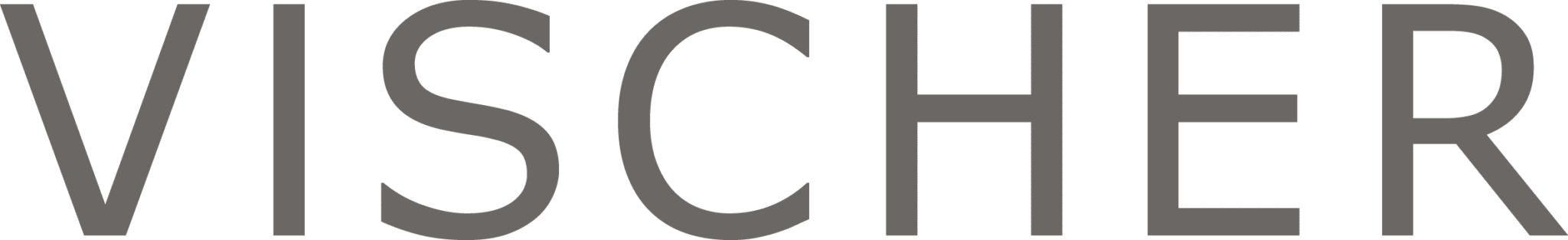 Kanzleibesuch und zum Thema «Internal Investigations» bei